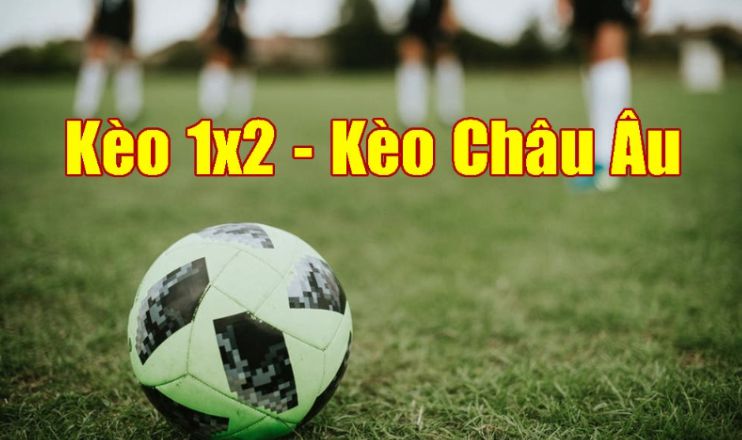 Cách dễ dàng tham gia các sự kiện thể thao cấp Haywin - Haywin