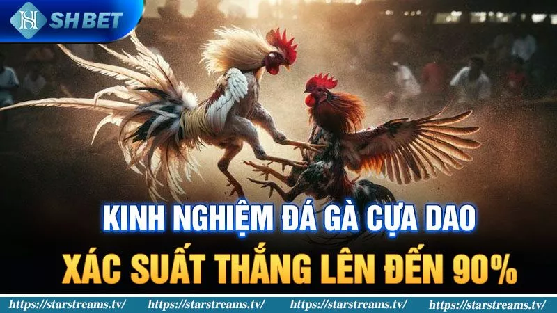 Danh sách các hạng mục trò chơi xuất sắc cấp độ Rr88 - Rr88