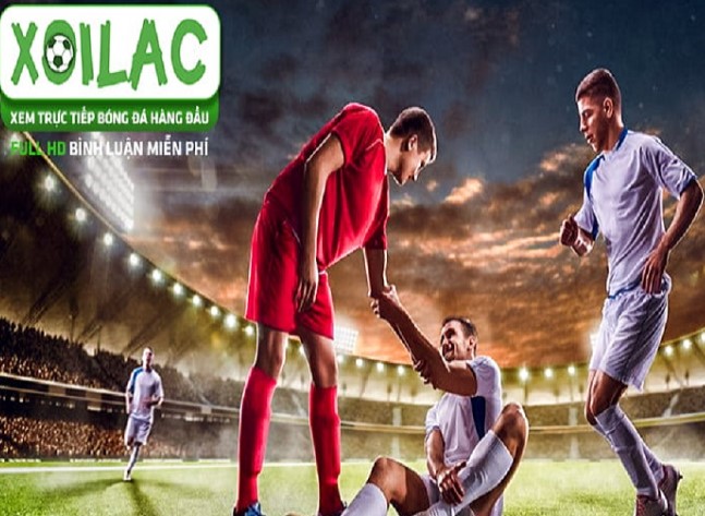 Ứng dụng di động trên trang web cổng game Dafabet - Dafabet