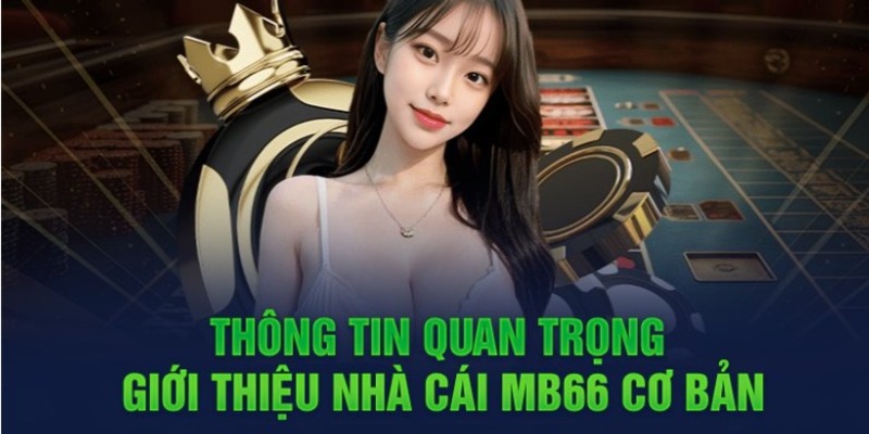 Các công ty game hàng đầu (Bk8) luôn ưu tiên chất lượng dịch vụ - Bk8