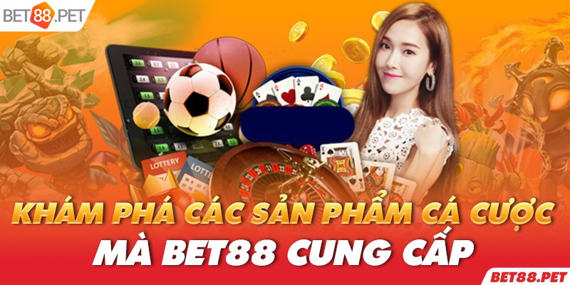 Betvisa cung cấp dịch vụ chất lượng cao nhất - Betvisa