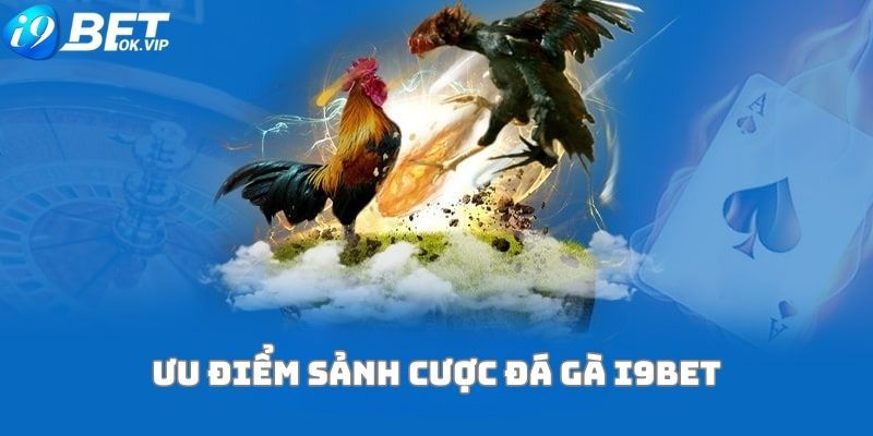 Nền tảng đạt chuẩn Xo88 này cung cấp hơn 1500 trò chơi - Xo88