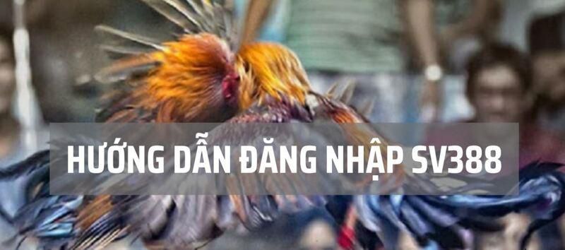 Các sự kiện cấp độ R98 cung cấp nội dung đa dạng - R98