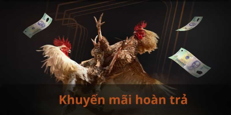 Trang web chính hãng Vn123 - Vn123