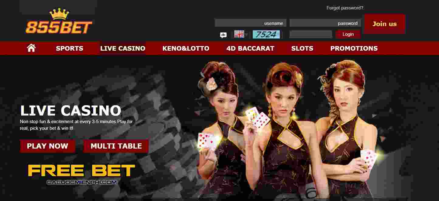 Câu hỏi thường gặp khi người chơi đăng ký tham gia V9bet - V9bet