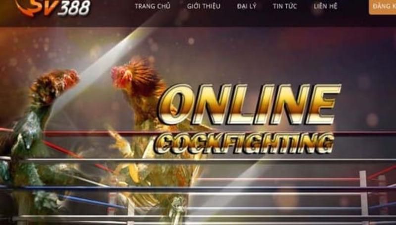 Các sự kiện thể thao cấp 18Win - 18Win