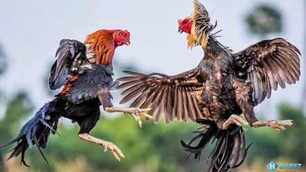 Onbet là một công ty game đáng tin cậy, và những ưu điểm độc đáo của họ không thể bị bỏ qua - Onbet