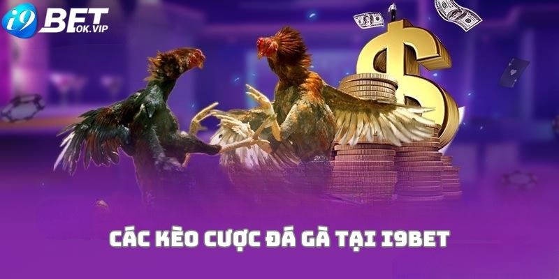 Điều gì khiến trang web xổ số Sb365 khác biệt so với các công ty cá cược khác? - Sb365