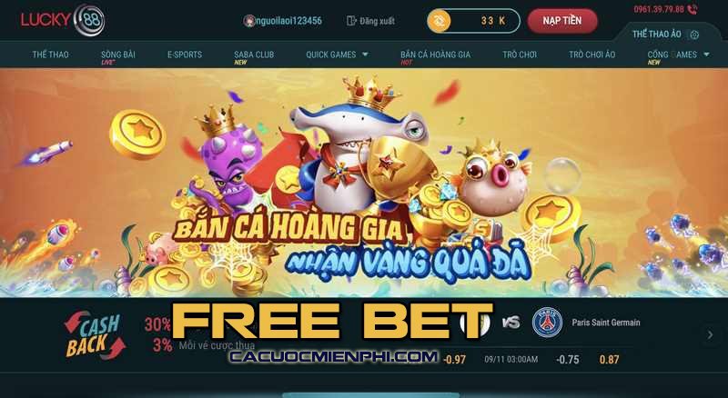 Thông tin hỗ trợ trang web Vvvwin Games - Vvvwin
