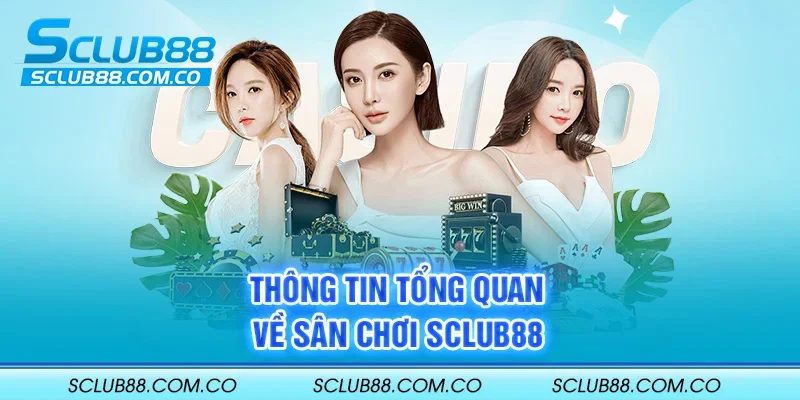 Vn123 có bao nhiêu phòng chơi game? - Vn123