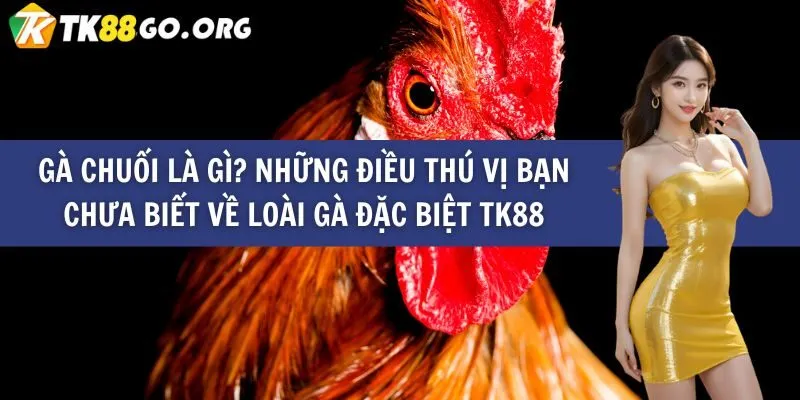 Câu lạc bộ 77Bet: Thanh khoản thị trường nhanh nhất - 77Bet