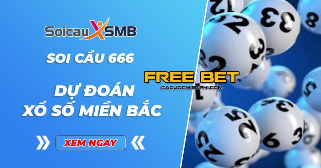 Trải nghiệm của người chơi cá cược khi đặt cược vào K9win - K9win