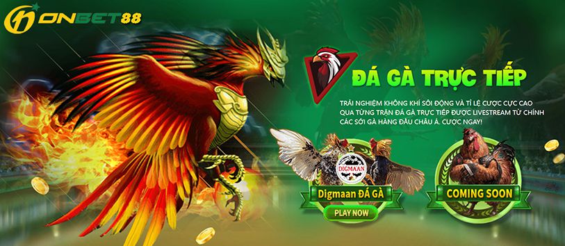 Tf88 Tf88 Trò chơi đa dạng - Tf88