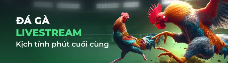 Tải ứng dụng Hl8 để nhận 88k! - Hl8